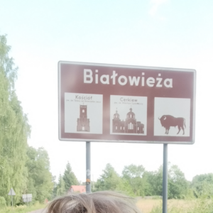 Bieg dookoła Polski – dzień 14 – 28.06.2024 r.