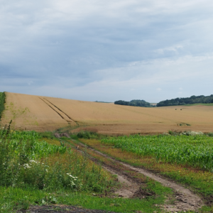 Bieg dookoła Polski – dzień 20 – 04.07.2024 r.